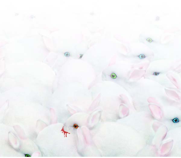 evilrabbit
